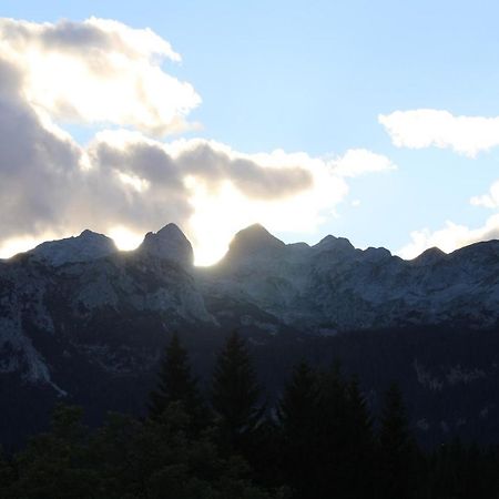 Villa Planinska Hisica Pod Macesni - Bohinj Srednja Vas v Bohinju Exterior foto