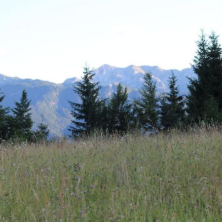 Villa Planinska Hisica Pod Macesni - Bohinj Srednja Vas v Bohinju Exterior foto