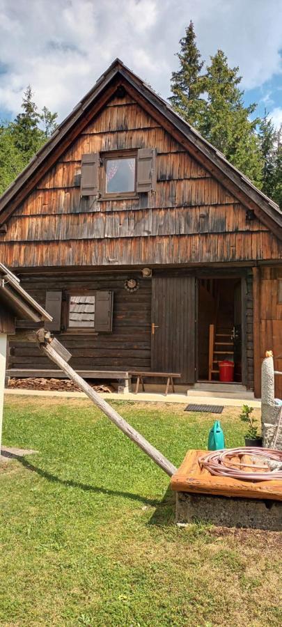 Villa Planinska Hisica Pod Macesni - Bohinj Srednja Vas v Bohinju Exterior foto