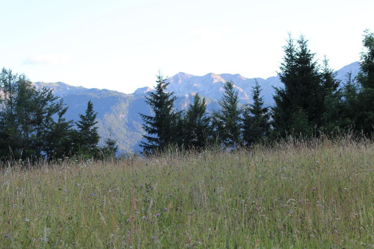 Villa Planinska Hisica Pod Macesni - Bohinj Srednja Vas v Bohinju Exterior foto